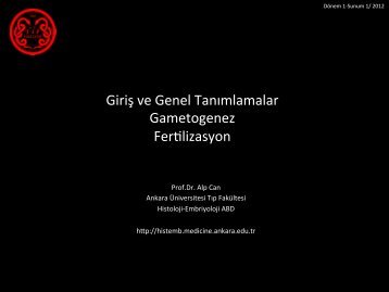 Giris, Gametogenez ve Fertilizasyon - Ankara Ãniversitesi TÄ±p ...