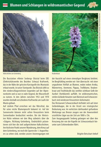 Blumen und Schlangen in wildromantischer Gegend