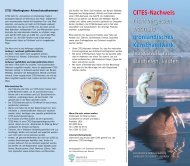 CITES-Nachweis nicht vergessen wenn Sie ... - Greenland Guide