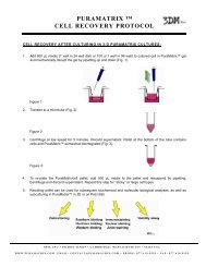 PURAMATRIX ™ CELL RECOVERY PROTOCOL - 3DM Inc.