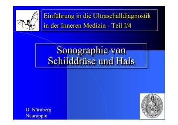 Vorlesung Hals + SD