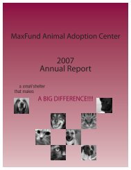 2007 Annual Report - MaxFund