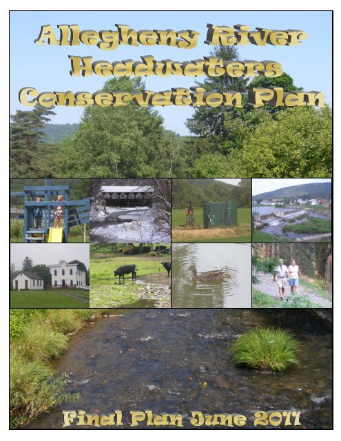 Allegheny River Headwaters Watershed Conservation Plan