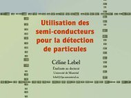 Utilisation des semi-conducteurs pour la détection de particules