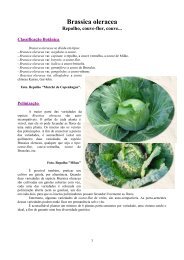 Brassica oleracea: repolho, couve-flor, couve - CPRA