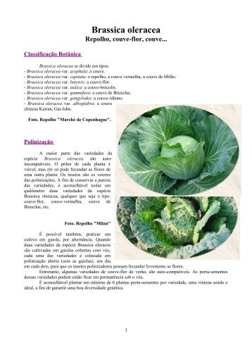 Brassica oleracea: repolho, couve-flor, couve - CPRA