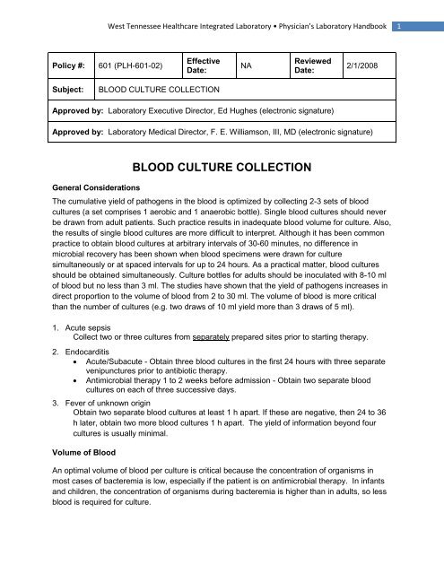 Sexy asian tranny porn Dating customs different cultures in healthcare