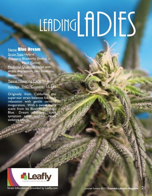 Cannabis Lifestyle Magazine