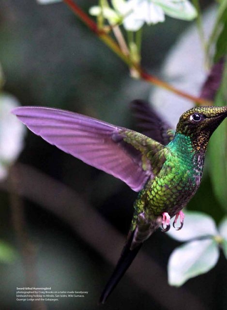 Ecuador and the Galapagos Islands - Geodyssey