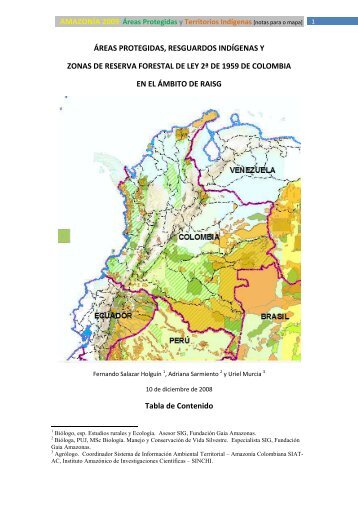 Nota Tecnica Amazonia Colombiana - RAISG