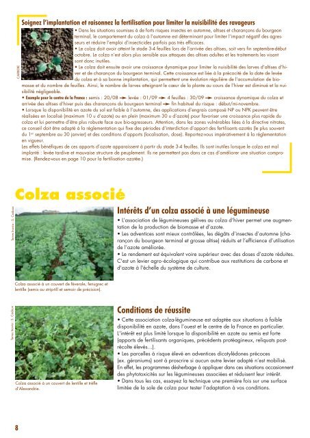 guide_colza_2015_terres_inovia_complet