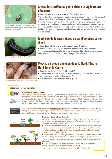 guide_colza_2015_terres_inovia_complet