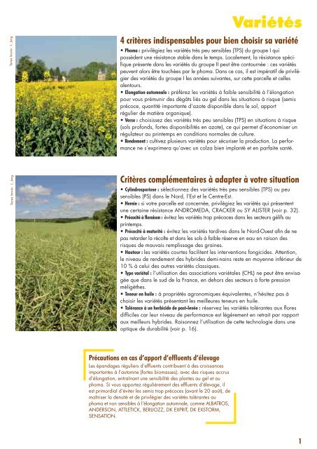 guide_colza_2015_terres_inovia_complet