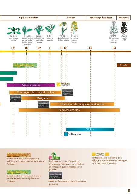 guide_colza_2015_terres_inovia_complet