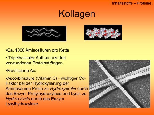 Anatomie der Gummibären