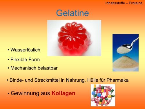 Anatomie der Gummibären