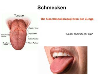 Schmecken