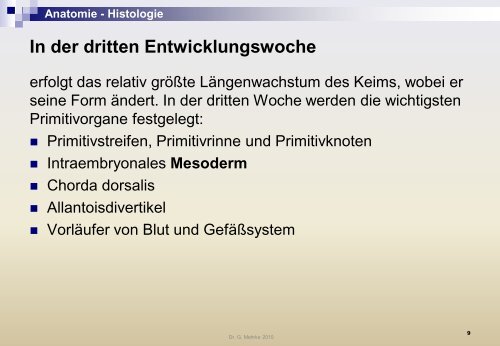 Anatomie - Histologie