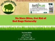 Bed Bugs Naturally