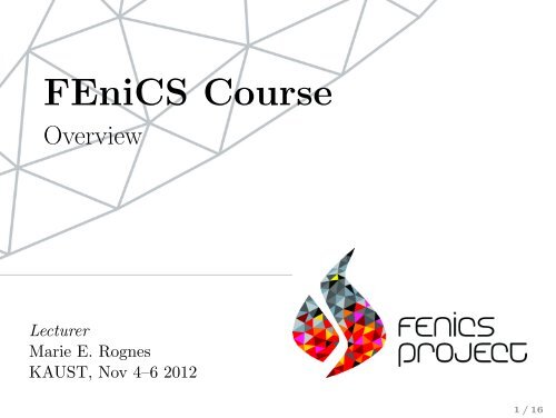 FEniCS Course - FEniCS Project