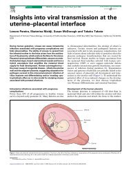 Insights into viral transmission at the uterineâplacental interface