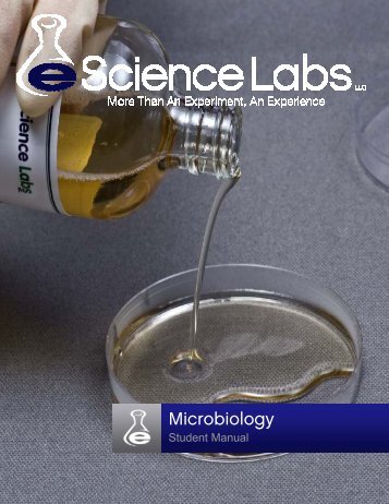 Microbio AMB 2-22 (Read-Only) - eScience Labs