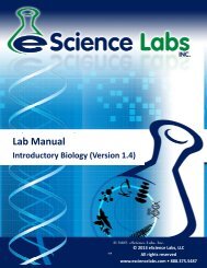 Lab Manual - eScience Labs