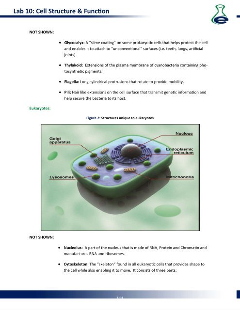 Lab Manual - eScience Labs