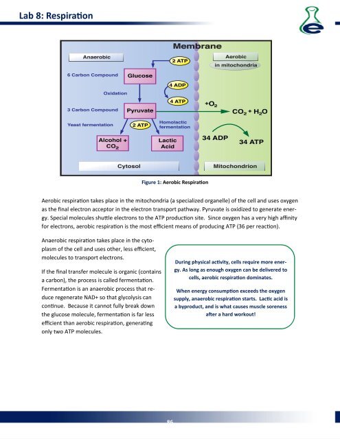 Lab Manual - eScience Labs