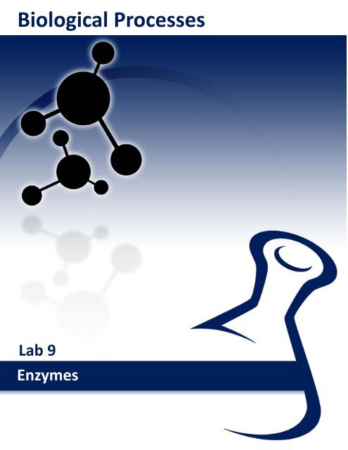 Lab Manual - eScience Labs