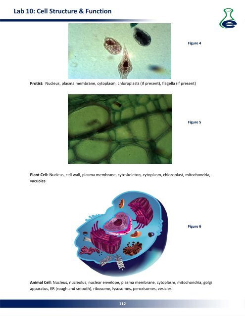 Lab 15: Population Genetics - eScience Labs