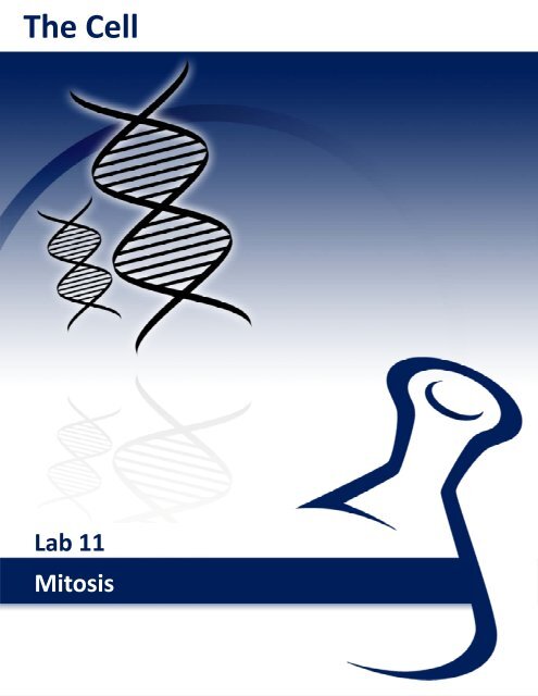 Lab 15: Population Genetics - eScience Labs