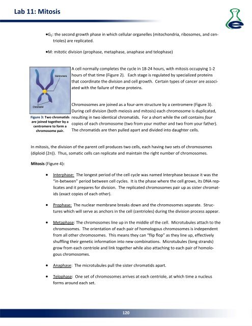 Lab 15: Population Genetics - eScience Labs