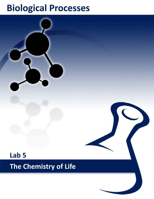 Lab 15: Population Genetics - eScience Labs