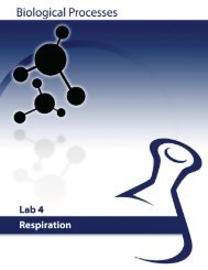 Lab 4: Respiration - eScience Labs