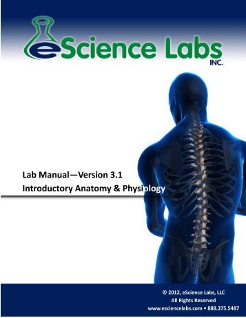 Lab 6: The Skeletal System - 21st Century Hands-On Science Kits