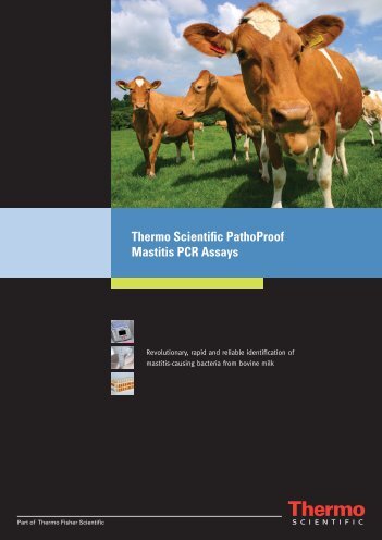 Thermo Scientific PathoProof Mastitis PCR Assays - Oxoid