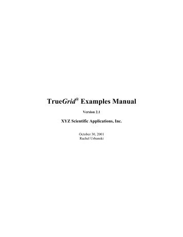 TrueGrid Examples Manual
