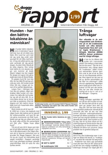 Epilepsi hos hund - Doggy Rapport