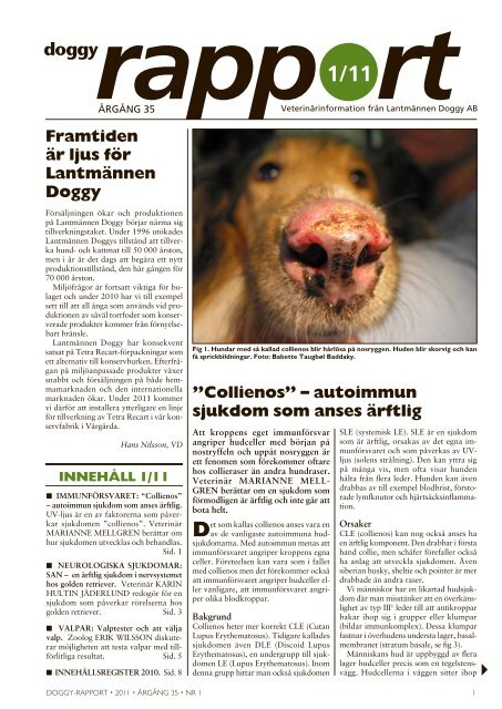 Doggy Rapport 1