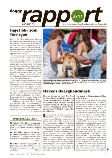 Doggy Rapport 2 - 2011