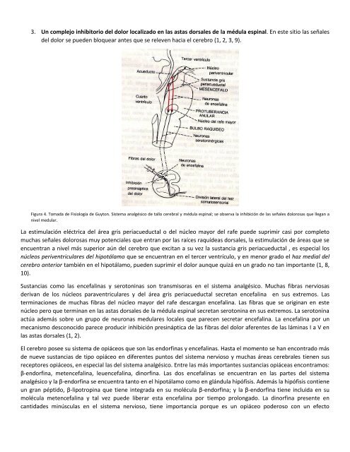 TRATAMIENTO DEL DOLOR 