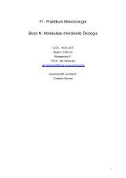 F1- Praktikum Mikrobiologie Block N: Molekulare mikrobielle Ãkologie