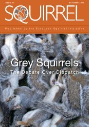 Grey Squirrels - European Squirrel Initiative