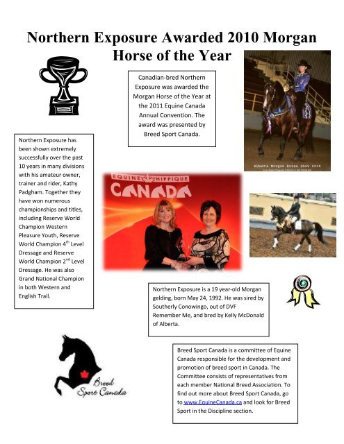 Canadian Morgan Horse Association Hi Point Awards