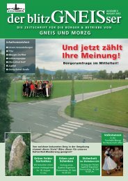 der blitzGNEISser - Unser Gneis