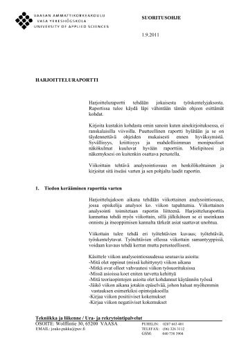 Raporttiohje (PDF)