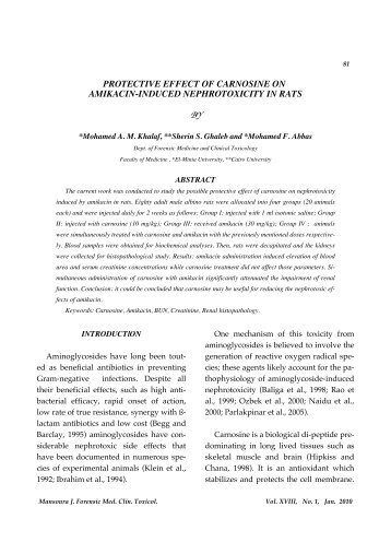 protective effect of carnosine on amikacin-induced nephrotoxicity in ...