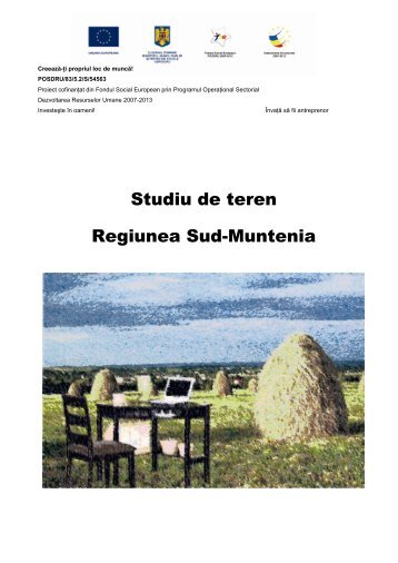 Studiu de teren pentru regiunea Sud-Muntenia - aici