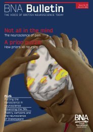 Issue 66 - British Neuroscience Association